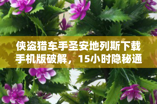 侠盗猎车手圣安地列斯下载手机版破解,15小时隐秘通关路,那些哽咽着说再见的深夜 侠盗猎车手圣安地列斯下载手机版破解,15小时隐秘通关路,那些哽咽着说再见的深夜