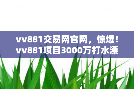 vv881交易网官网，惊爆！vv881项目3000万打水漂，隐情曝光后真让人吓一跳！