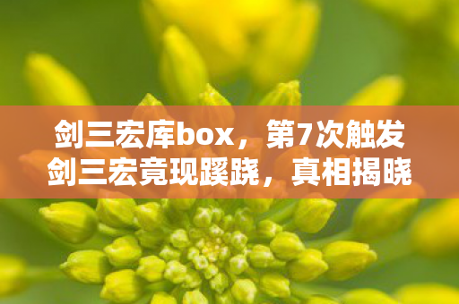 剑三宏库box，第7次触发剑三宏竟现蹊跷，真相揭晓后背发凉！