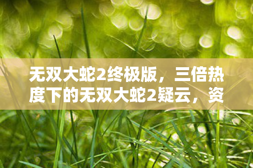 无双大蛇2终极版，三倍热度下的无双大蛇2疑云，资本狂欢为何让玩家心寒？