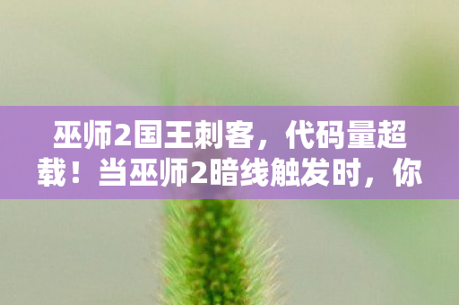 巫师2国王刺客，代码量超载！当巫师2暗线触发时，你的神经突触正在经历一场头皮发麻的赛博暴动