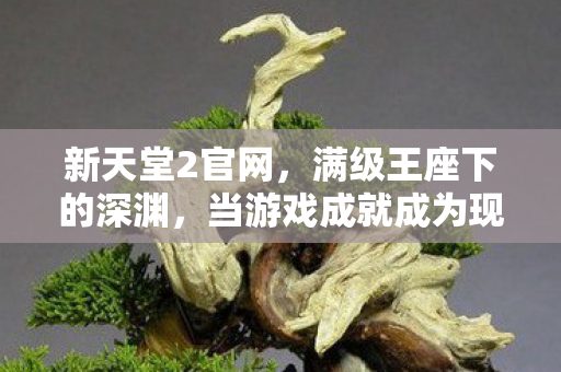 新天堂2官网，满级王座下的深渊，当游戏成就成为现实废墟的终极悖论