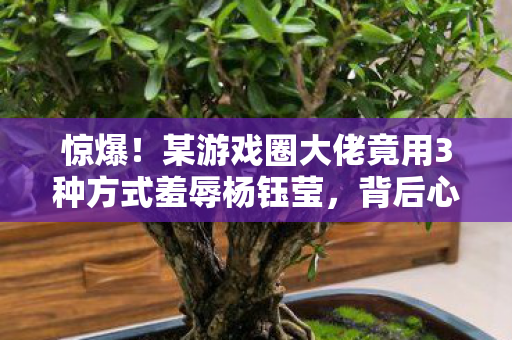 惊爆！某游戏圈大佬竟用3种方式羞辱杨钰莹，背后心酸谁懂？