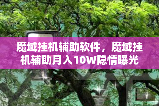 魔域挂机辅助软件，魔域挂机辅助月入10W隐情曝光！离职老兵拍桌怒吼，这方案早该枪毙！