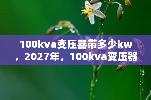 100kva变压器带多少kw,2027年,100kva变压器旁的告别,那些年,谁在耳边轻语别走 100kva变压器带多少kw,2027年,100kva变压器旁的告别,那些年,谁在耳边轻语别走