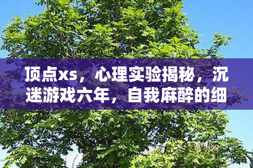 顶点xs,心理实验揭秘,沉迷游戏六年,自我麻醉的细思极恐真相 顶点xs,心理实验揭秘,沉迷游戏六年,自我麻醉的细思极恐真相