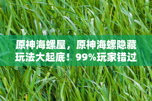 原神海螺屋,原神海螺隐藏玩法大起底!99%玩家错过的3大体验,错过再等3年! 原神海螺屋,原神海螺隐藏玩法大起底!99%玩家错过的3大体验,错过再等3年!