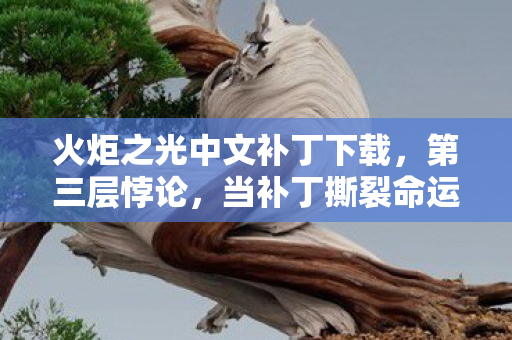 火炬之光中文补丁下载，第三层悖论，当补丁撕裂命运经纬，你的选择是自由还是灵魂震颤的囚徒？