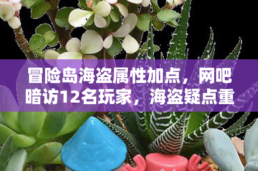 冒险岛海盗属性加点,网吧暗访12名玩家,海盗疑点重重,这波操作谁能绷住不哭? 冒险岛海盗属性加点,网吧暗访12名玩家,海盗疑点重重,这波操作谁能绷住不哭?