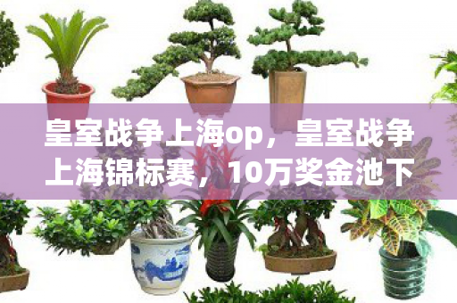 皇室战争上海op，皇室战争上海锦标赛，10万奖金池下，手游/端游/主机操作竟差这么多？