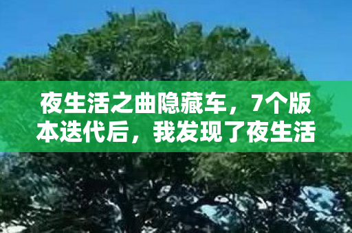 夜生活之曲隐藏车，7个版本迭代后，我发现了夜生活之曲最隐秘的真相……