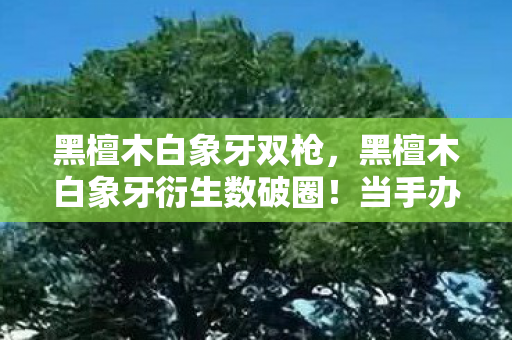 黑檀木白象牙双枪,黑檀木白象牙衍生数破圈!当手办堆成山,冰箱却上演意想不到的空城计 黑檀木白象牙双枪,黑檀木白象牙衍生数破圈!当手办堆成山,冰箱却上演意想不到的空城计