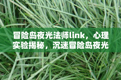 冒险岛夜光法师link，心理实验揭秘，沉迷冒险岛夜光法师三年，细思极恐的自我囚禁