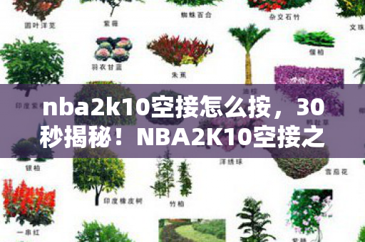 nba2k10空接怎么按,30秒揭秘!NBA2K10空接之谜,那些被代码杀死的青春泪目史 nba2k10空接怎么按,30秒揭秘!NBA2K10空接之谜,那些被代码杀死的青春泪目史