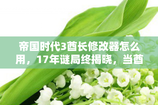 帝国时代3酋长修改器怎么用,17年谜局终揭晓,当酋长修改器成为帝国时代3最后的眼泪 帝国时代3酋长修改器怎么用,17年谜局终揭晓,当酋长修改器成为帝国时代3最后的眼泪
