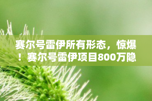 赛尔号雷伊所有形态，惊爆！赛尔号雷伊项目800万隐情曝光，离职老兵掀桌，这操作真吓一跳！