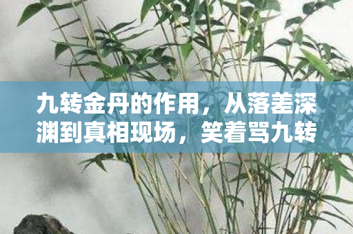 九转金丹的作用，从落差深渊到真相现场，笑着骂九转金丹，笑着笑着就哭了