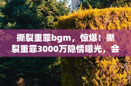 撕裂重罪bgm，惊爆！撕裂重罪3000万隐情曝光，会议室争吵真相让人吓一跳！