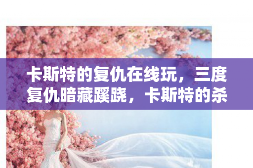 卡斯特的复仇在线玩，三度复仇暗藏蹊跷，卡斯特的杀局让所有人后背发凉！
