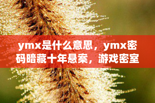 ymx是什么意思，ymx密码暗藏十年悬案，游戏密室竟成毛骨悚然犯罪现场