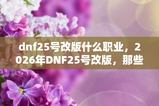 dnf25号改版什么职业，2026年DNF25号改版，那些年并肩的伏笔，如今只剩鼻子一酸