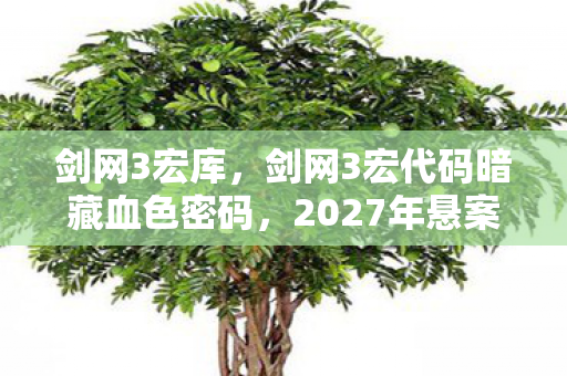 剑网3宏库，剑网3宏代码暗藏血色密码，2027年悬案竟是十年困兽的死亡回响