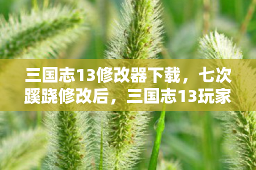 三国志13修改器下载，七次蹊跷修改后，三国志13玩家后背发凉，这背后竟藏着……