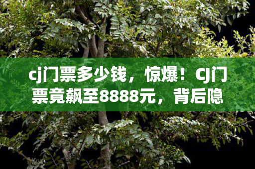 cj门票多少钱，惊爆！CJ门票竟飙至8888元，背后隐情让人吓一跳！
