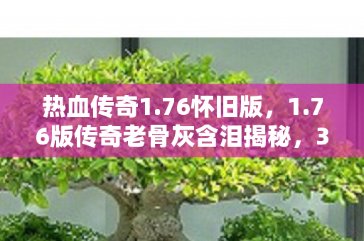 热血传奇1.76怀旧版，1.76版传奇老骨灰含泪揭秘，3000次死亡换来的1个真相，你绝对想不到！