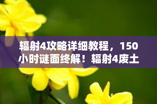 辐射4攻略详细教程，150小时谜面终解！辐射4废土死亡图谱，那些被核弹焊死的泪目时刻