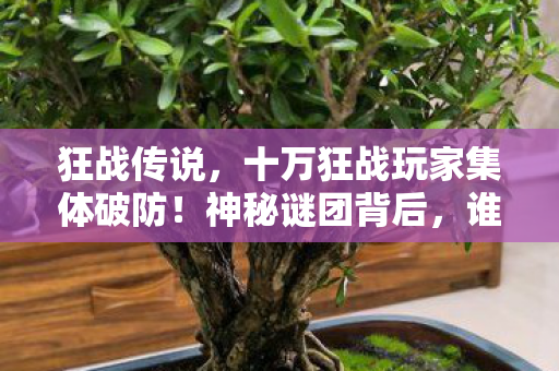 狂战传说，十万狂战玩家集体破防！神秘谜团背后，谁才是真正的赢家？