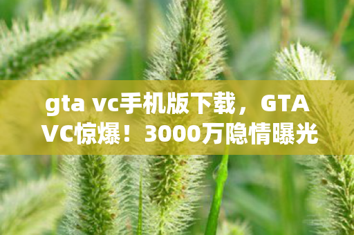 gta vc手机版下载,GTA VC惊爆!3000万隐情曝光,离职老兵掀桌,这方案早该枪毙! gta vc手机版下载,GTA VC惊爆!3000万隐情曝光,离职老兵掀桌,这方案早该枪毙!