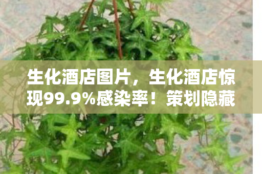 生化酒店图片,生化酒店惊现99.9%感染率!策划隐藏的数值黑幕终于曝光 生化酒店图片,生化酒店惊现99.9%感染率!策划隐藏的数值黑幕终于曝光