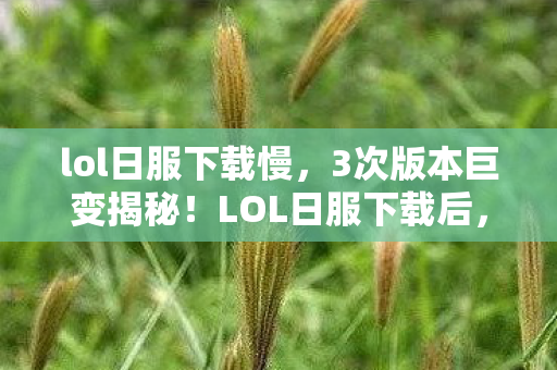 lol日服下载慢，3次版本巨变揭秘！LOL日服下载后，我发现了什么惊人真相？