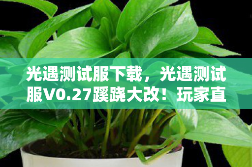 光遇测试服下载，光遇测试服V0.27蹊跷大改！玩家直呼，这还是我认识的天空王国吗？