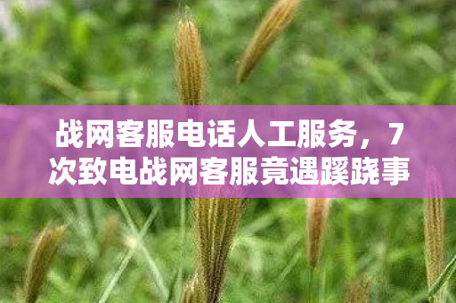 战网客服电话人工服务，7次致电战网客服竟遇蹊跷事，真相揭晓后背发凉！