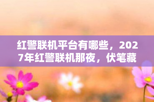 红警联机平台有哪些，2027年红警联机那夜，伏笔藏了十年，如今想起鼻子一酸