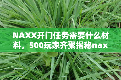 NAXX开门任务需要什么材料,500玩家齐聚揭秘naxx开门任务疑点,真相揭晓时众人绷不住了! NAXX开门任务需要什么材料,500玩家齐聚揭秘naxx开门任务疑点,真相揭晓时众人绷不住了!