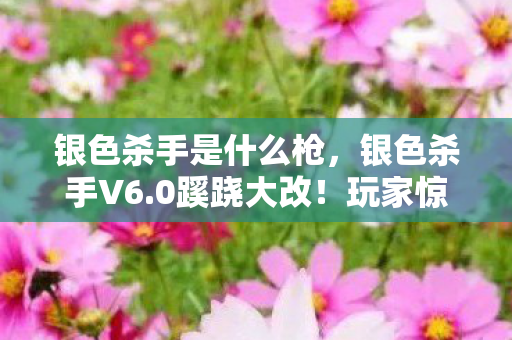 银色杀手是什么枪，银色杀手V6.0蹊跷大改！玩家惊呼，这还是我认识的它吗？