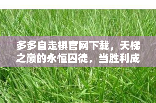 多多自走棋官网下载,天梯之巅的永恒囚徒,当胜利成为诅咒,自由意志在算法牢笼中震颤 多多自走棋官网下载,天梯之巅的永恒囚徒,当胜利成为诅咒,自由意志在算法牢笼中震颤