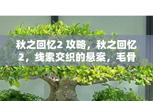 秋之回忆2 攻略，秋之回忆2，线索交织的悬案，毛骨悚然下的自我湮灭