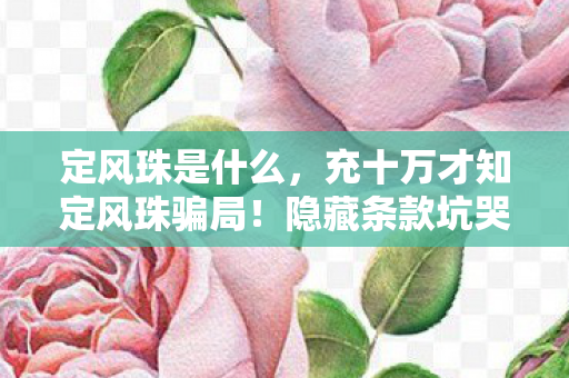 定风珠是什么,充十万才知定风珠骗局!隐藏条款坑哭冤种,这操作吓掉下巴! 定风珠是什么,充十万才知定风珠骗局!隐藏条款坑哭冤种,这操作吓掉下巴!