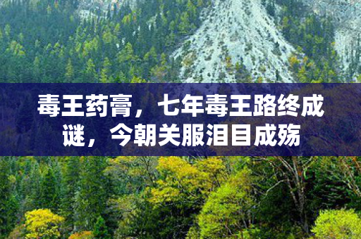 毒王药膏，七年毒王路终成谜，今朝关服泪目成殇