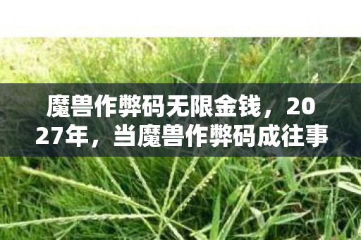 魔兽作弊码无限金钱，2027年，当魔兽作弊码成往事，那些别走让我鼻子一酸