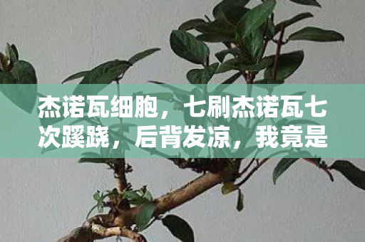 杰诺瓦细胞,七刷杰诺瓦七次蹊跷,后背发凉,我竟是策划案板上的鱼? 杰诺瓦细胞,七刷杰诺瓦七次蹊跷,后背发凉,我竟是策划案板上的鱼?