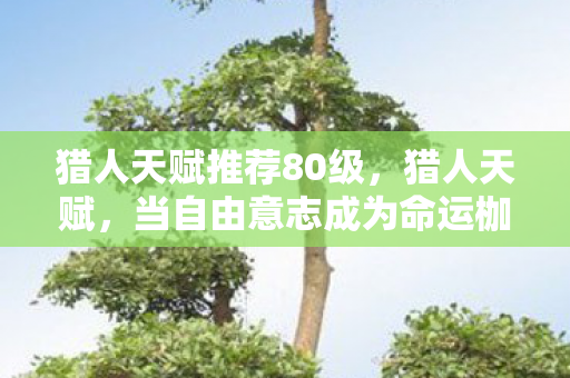 猎人天赋推荐80级，猎人天赋，当自由意志成为命运枷锁，谁在操控你的灵魂震颤？