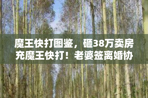 魔王快打图鉴，砸38万卖房充魔王快打！老婆签离婚协议时，我才知自己多疯！