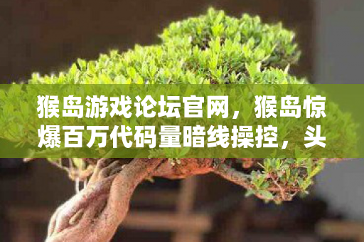 猴岛游戏论坛官网，猴岛惊爆百万代码量暗线操控，头皮发麻的帮派帝国竟藏惊天秘密！