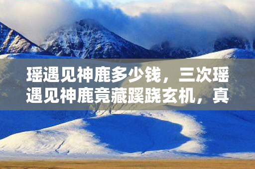 瑶遇见神鹿多少钱，三次瑶遇见神鹿竟藏蹊跷玄机，真相揭晓后背发凉！