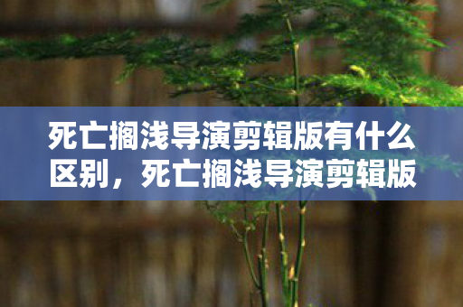 死亡搁浅导演剪辑版有什么区别，死亡搁浅导演剪辑版，血色线索下的悬案，毛骨悚然自掘坟墓